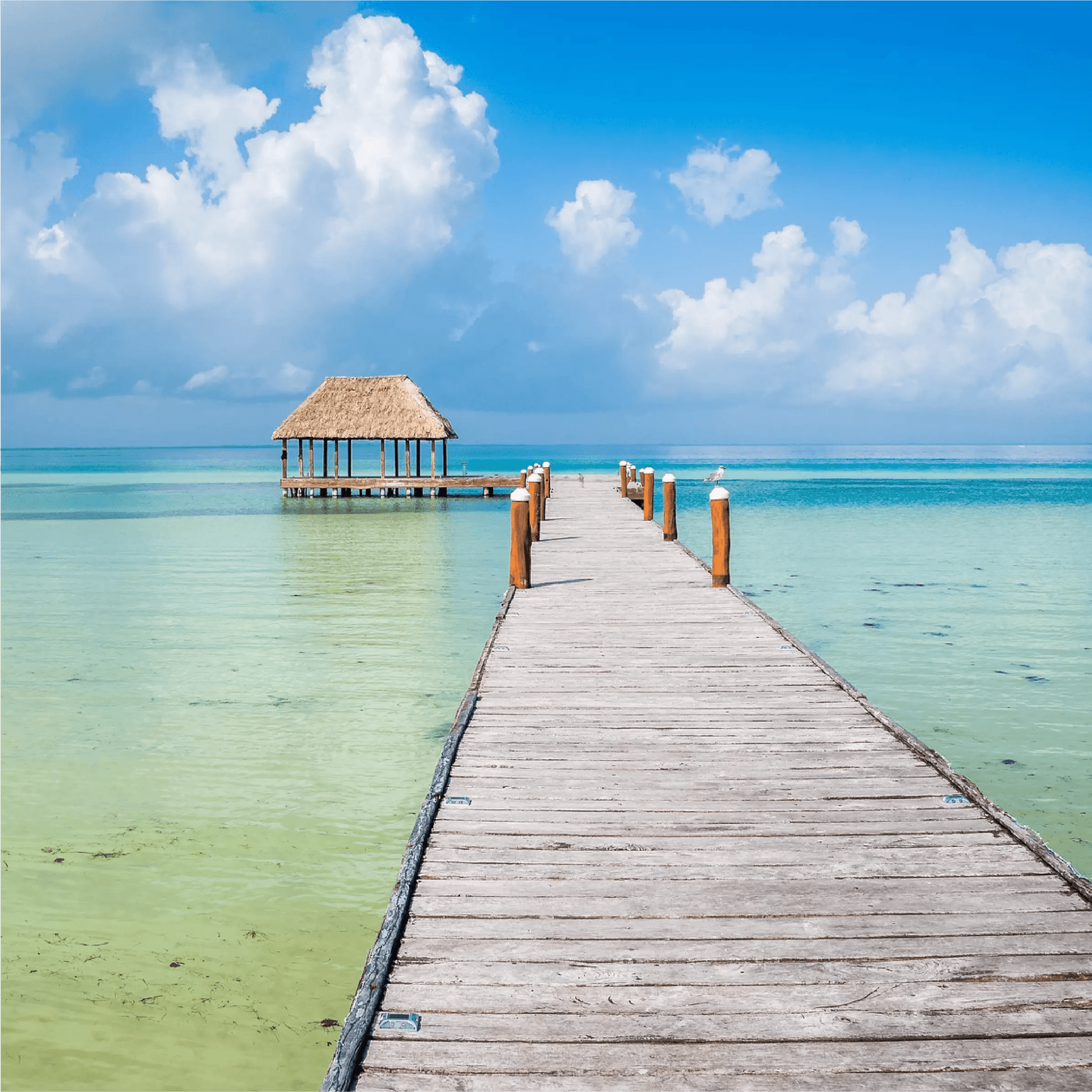 HOLBOX