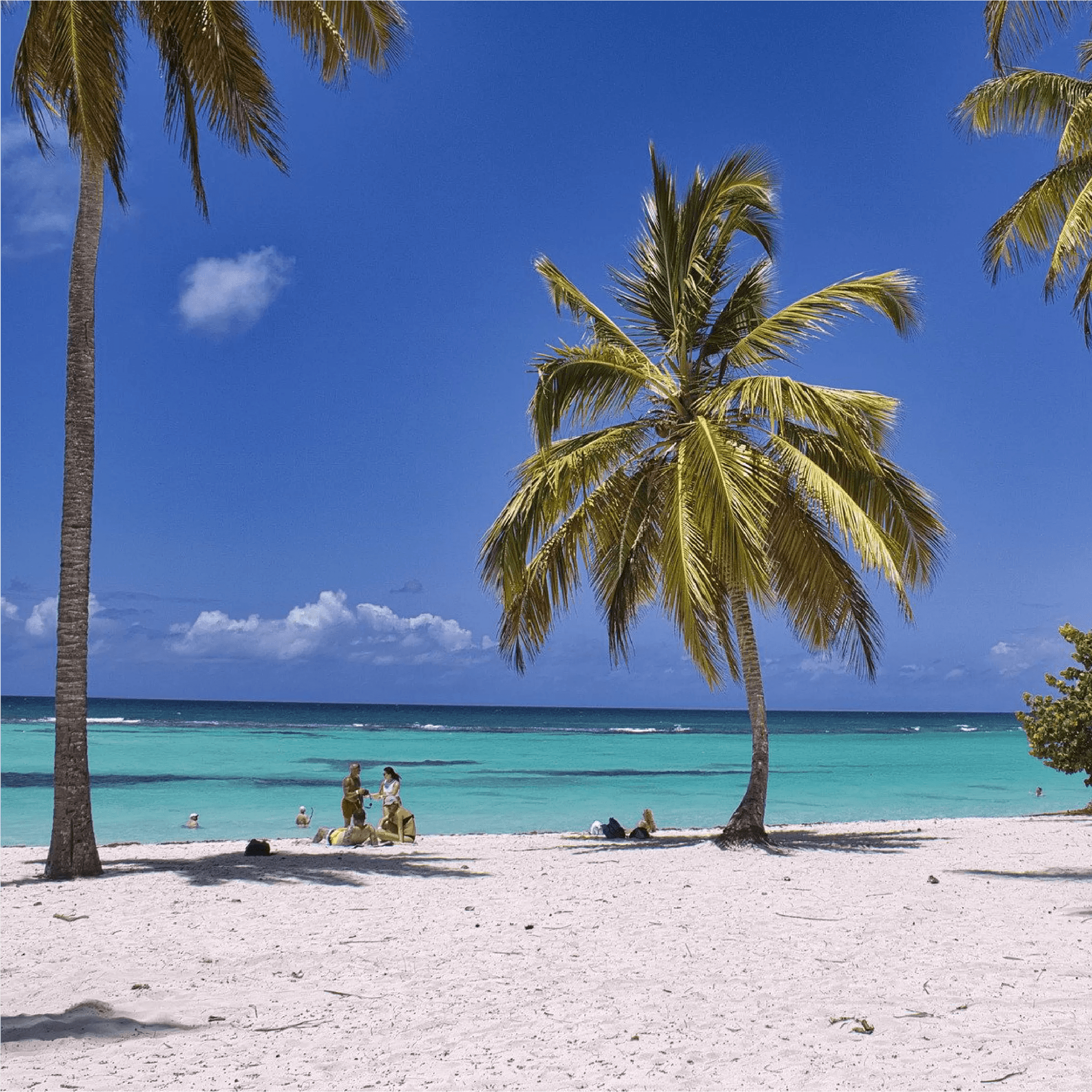 PUERTO AVENTURAS